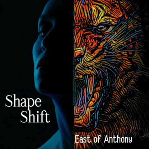 ShapeShift album art