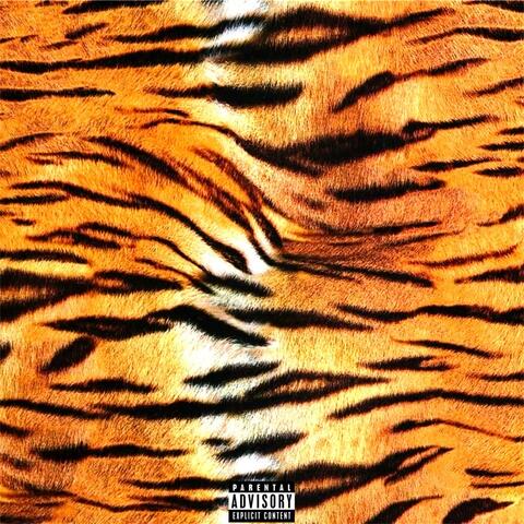 B4tiger album art