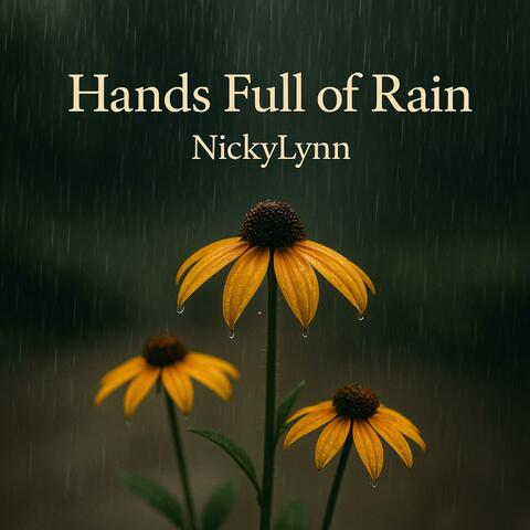 Hands Full of Rain album art