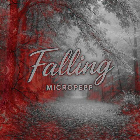 Falling (Instrumental) album art