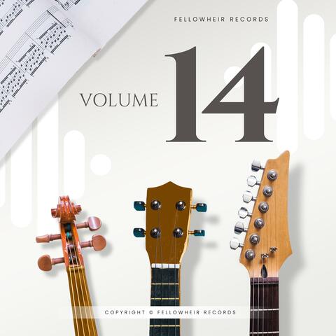 Vol 14 album art