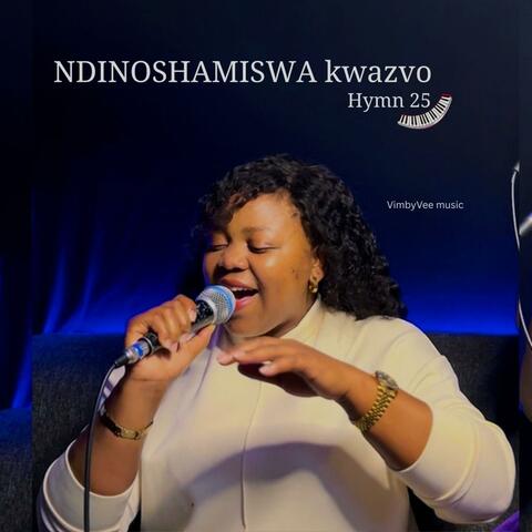 Ndinoshamiswa kwazvo album art