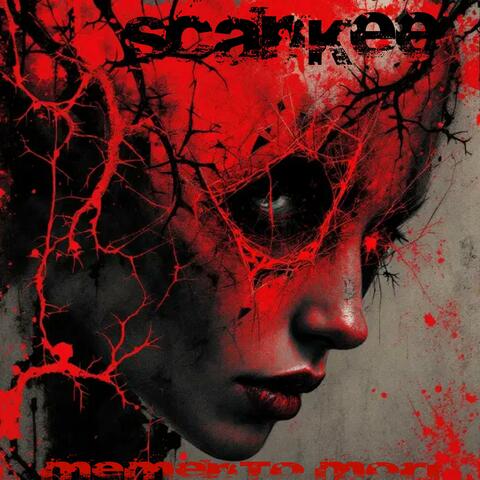 Hide and Seek album art