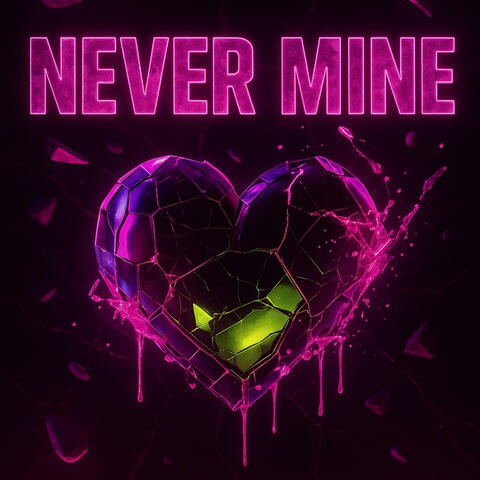Never Mine album art