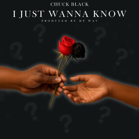 I Just Wanna Know album art