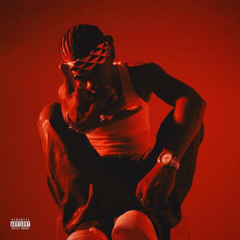 Bleed album art