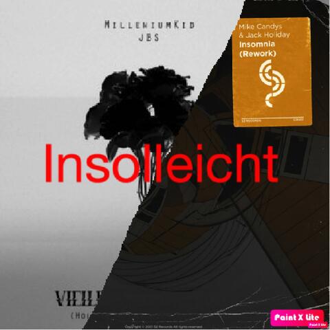 Insolleicht album art