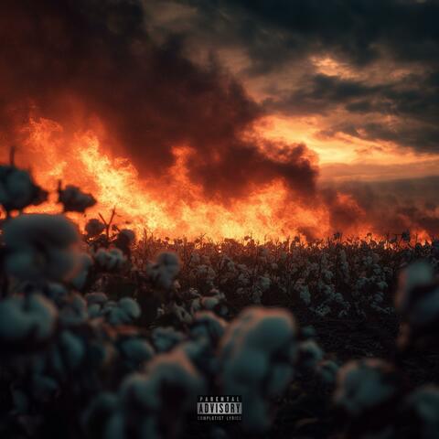 Folie brûlante album art