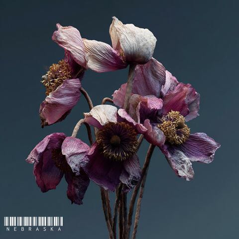 Bleed For U album art