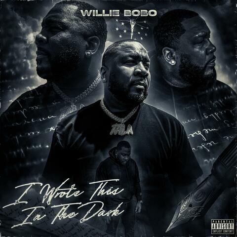 I Wrote This In The Dark album art
