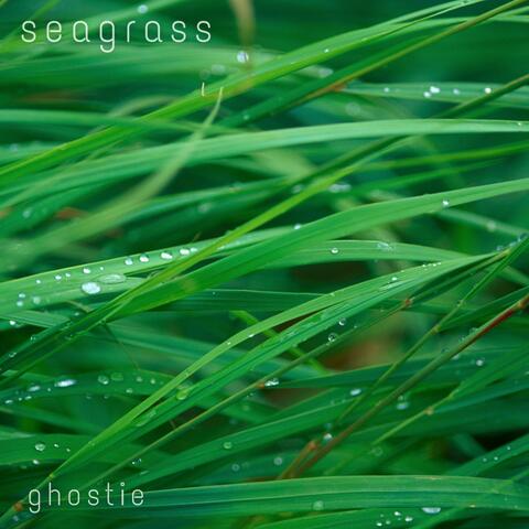 seagrass album art