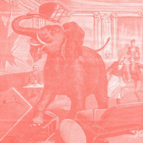 ELEPHANT PRINTS album art