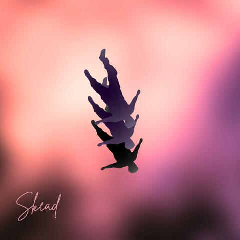 PAS FACILE album art