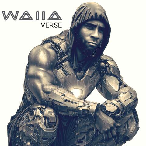 Wallaverse V. 1 album art