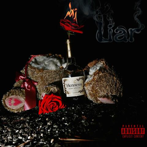 Liar album art