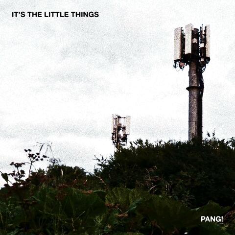 It's The Little Things / Pang! album art