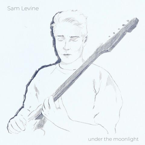 under the moonlight album art