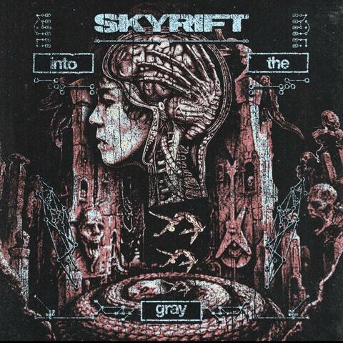Into The Gray album art