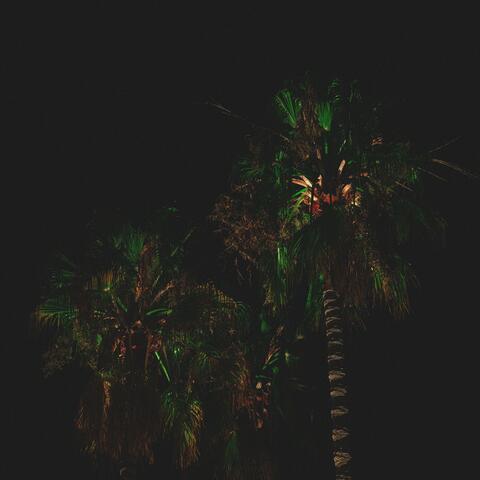 Beneath the Canopy album art