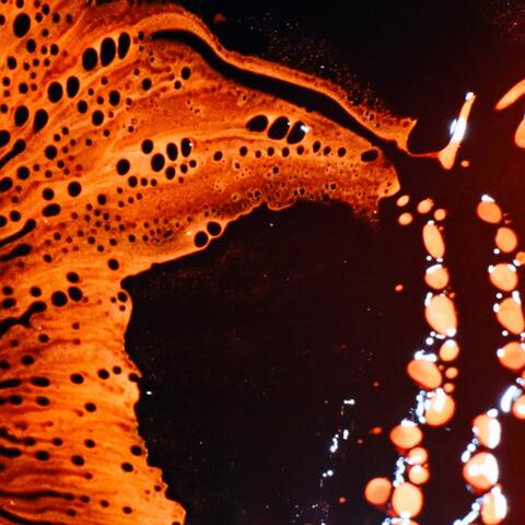 Happy Accidents 3.1. Serendipity - neuroplasticity booster series album art