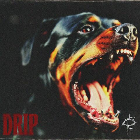 DRIP album art