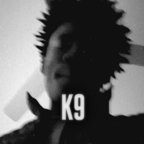K9. album art