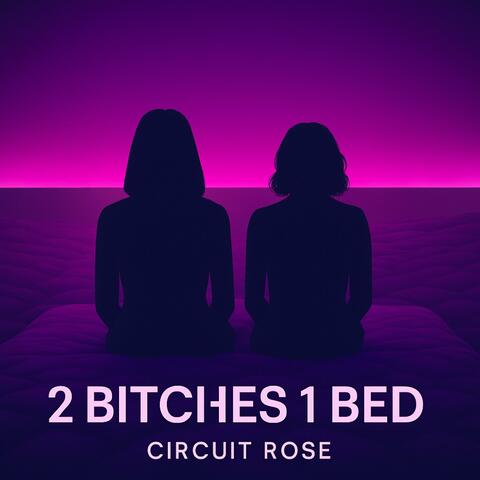 2 BITCHES 1 BED album art
