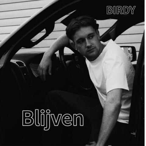 Blijven album art