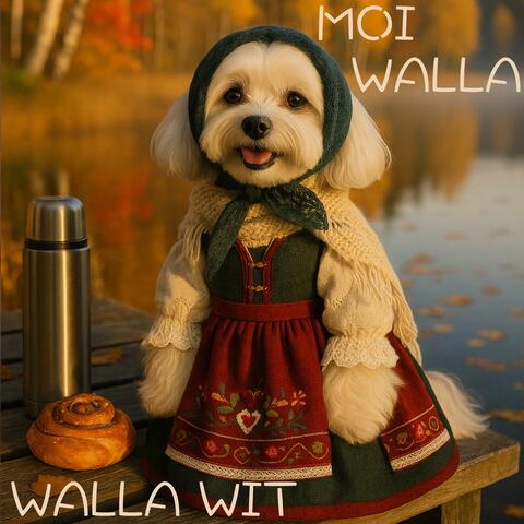 Moi Walla! album art