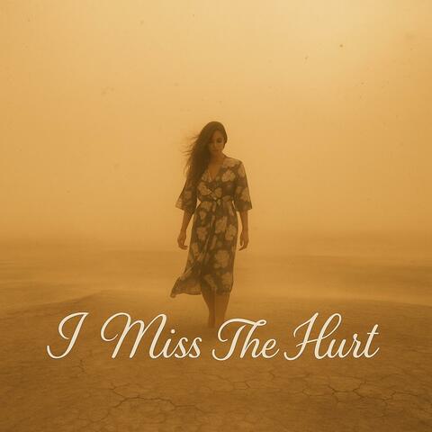 I Miss The Hurt album art
