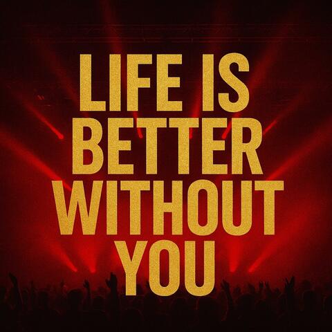 Life is better without you album art