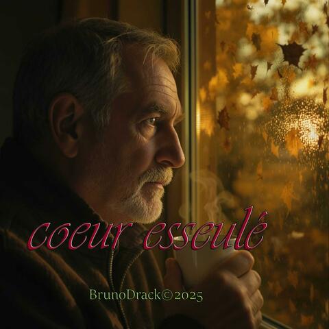 Coeur esseulé album art