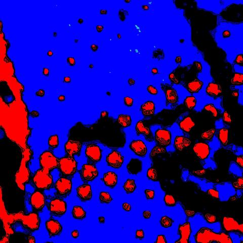 Everybody 01 album art