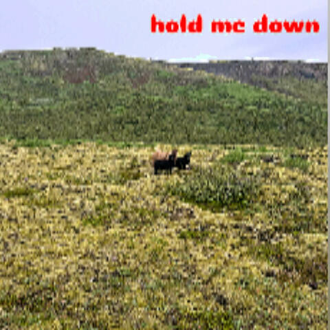 hold me down album art