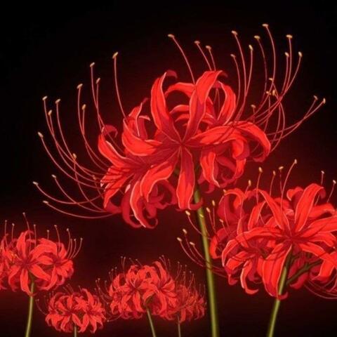 INDUSTRY PLANT album art