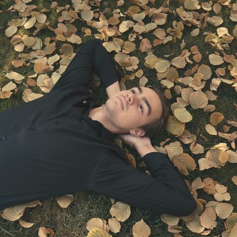 You Love the Fall album art