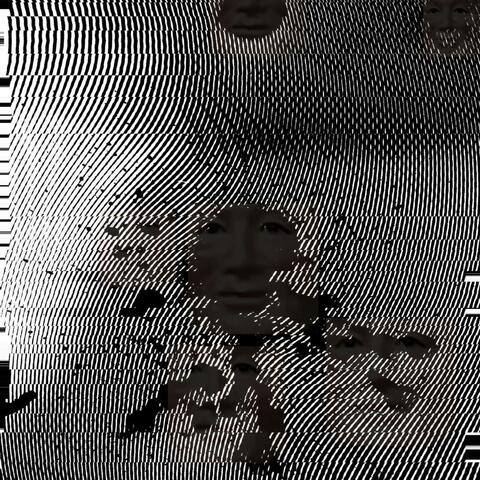 sauvignon blanc album art