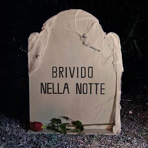 Brivido nella notte album art