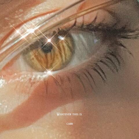 whatever this is album art