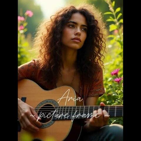 Picture Frame album art