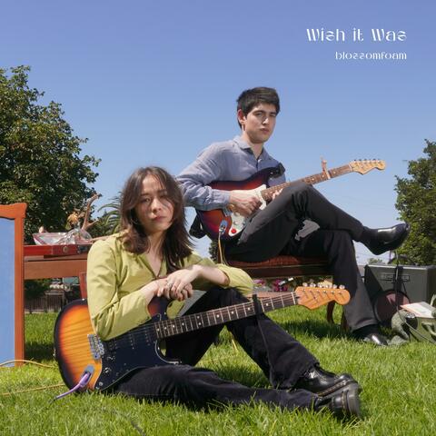 Wish it Was album art