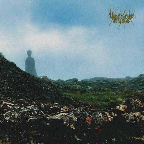 Confusion Gate album art