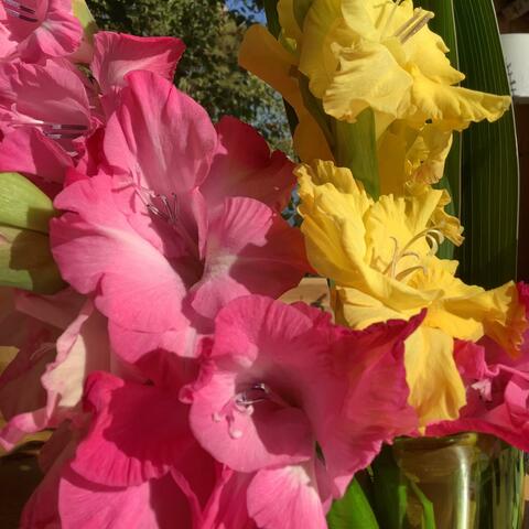 So Long To Realize album art