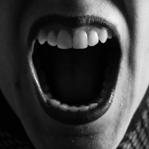 Somos las que sobran album art