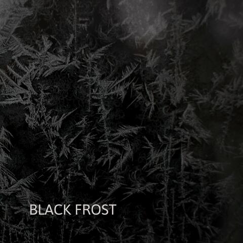 Black Frost album art