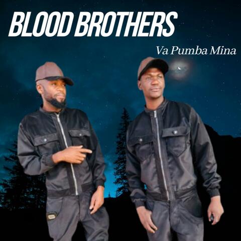 Va Pumba Mina album art