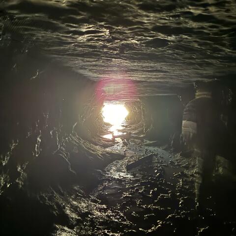 back from the dead album art