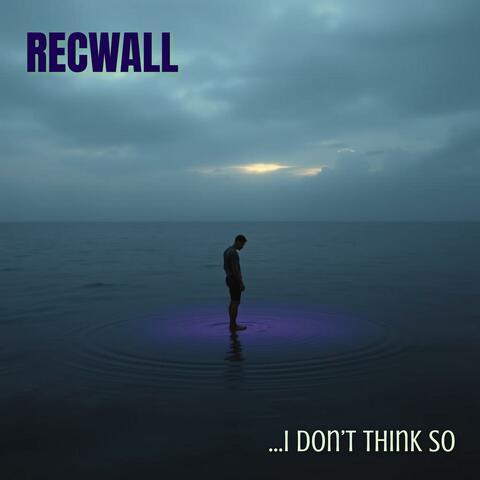 I Don't Think So album art