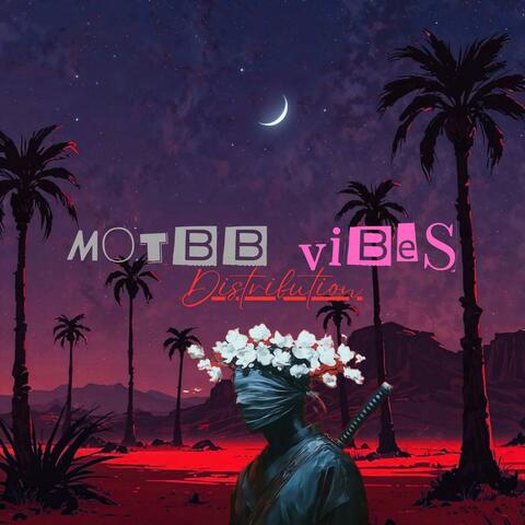 Nate 678 album art
