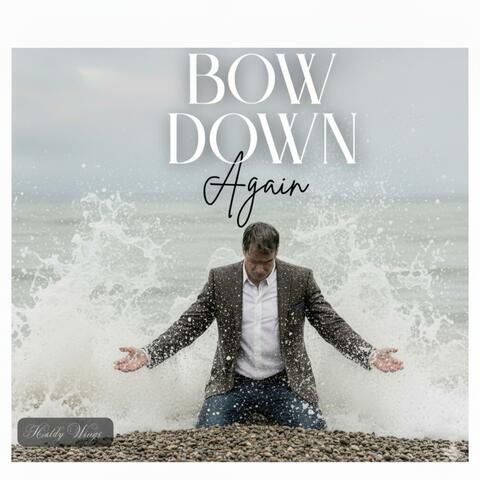 Bow Down Again album art